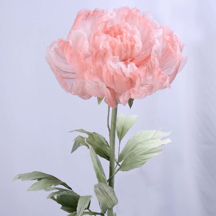 peony paper flower peony paper flower