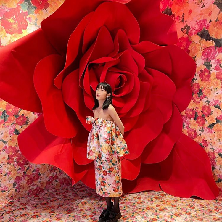 Giant Rose Baggrunds rekvisitter