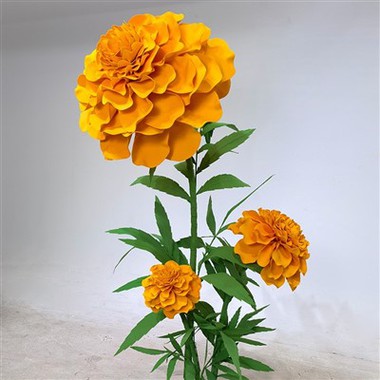 Papir Marigold Flowers